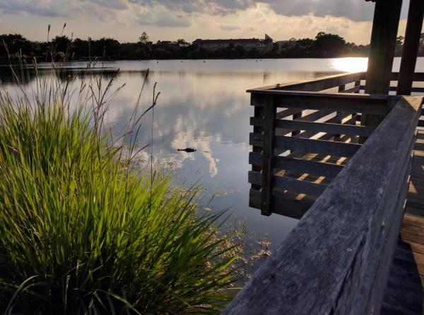 East Lake Village, 2105 SE Fern Park Dr #2105, Port St. Lucie, Florida 34952, image 1
