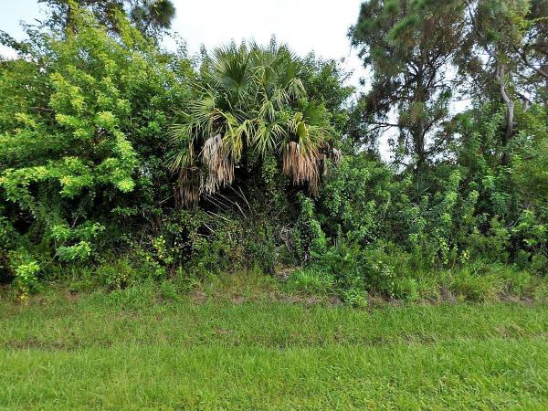 Torino, 5819 NW Culebra Ave, Port St. Lucie, Florida 34986, image 1