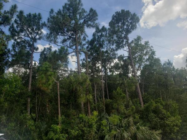 Sunny Urban Meadows, Xxxxx 200th And 56th, Loxahatchee, Florida 33470, image 2