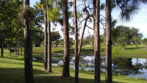 Palm Beach Trace, 1606 Palm Beach Trace Dr, Royal Palm Beach, Florida 33411, image 2
