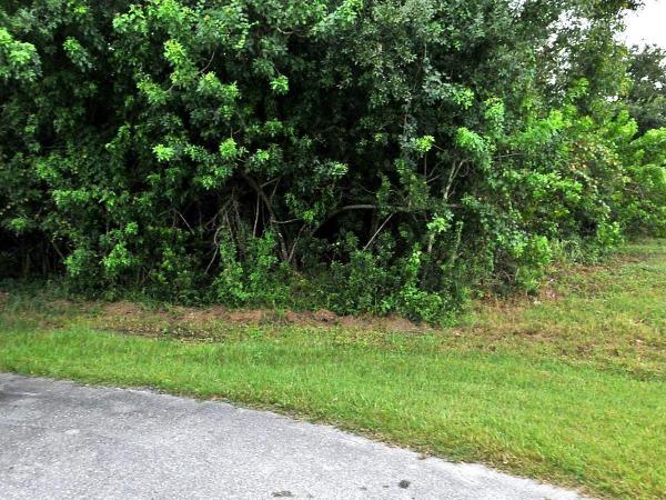 Torino, 5236 NW Jake Ct, Port St. Lucie, Florida 34986, image 2