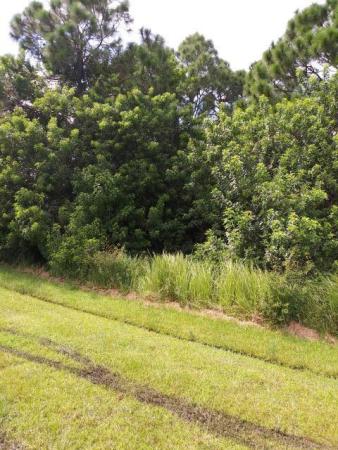 Paar Estates, 124 SW Danville Cir, Port St. Lucie, Florida 34953, image 2