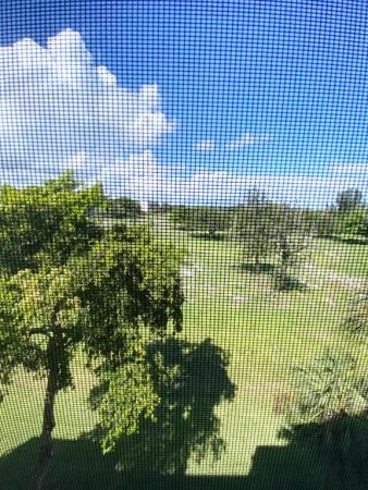 The Palms At Boca Teeca, 5260 NW 2nd Ave #PH-7, Boca Raton, Florida 33487, image 1