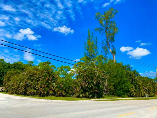 The Acreage, 11649 51st Ct N, West Palm Beach, Florida 33411, image 1