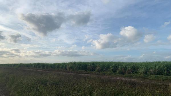 0 Us Hwy 27, South Bay, Florida 33493, image 1