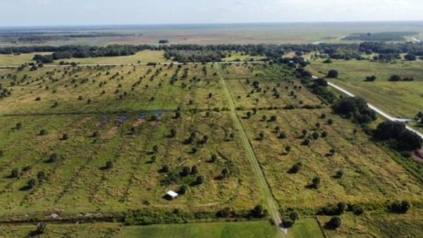 11255 Bluefield Rd, Fort Pierce, Florida 34950, image 1
