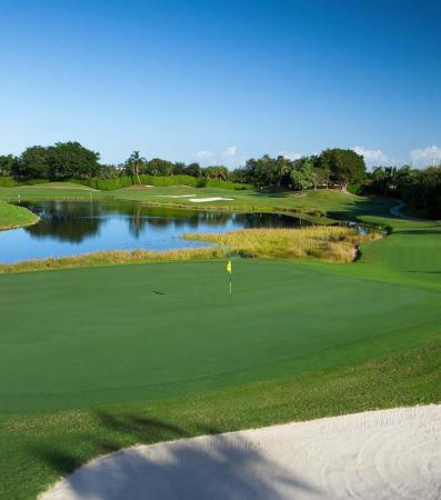 Andover At Wycliffe, 10136 Andover Coach Cir #B2, Lake Worth, Florida 33449, image 2