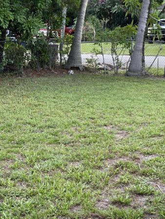 Lake Worth No HOA, 4170 Sanders Dr, Lake Worth, Florida 33461, image 1