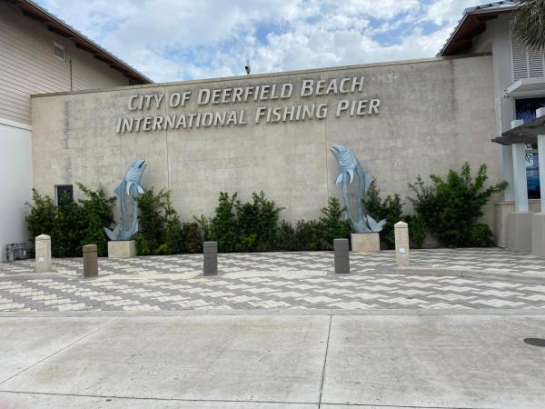 Deerfield Pines, 1428 SE 4th Ave #162, Deerfield Beach, Florida 33441, image 3