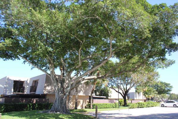 Village Of Sandalwood Lakes South, 6638 66th Way, West Palm Beach, Florida 33409, image 1