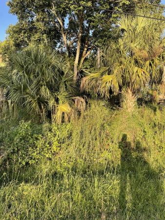2213 SW Salmon Rd, Port St. Lucie, Florida 34953, image 1