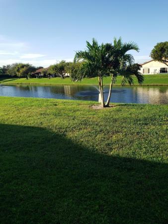 Oakwood Lakes, 3775 Silver Lace Ln, Boynton Beach, Florida 33436, image 1
