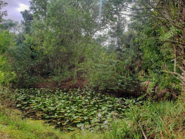Loxahatchee Groves Residential, 15864 N 44th St, Loxahatchee Groves, Florida 33470, image 2