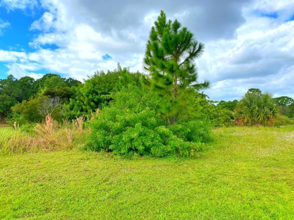Torino, 5912 NW Bayou Ct, Port St. Lucie, Florida 34986, image 2