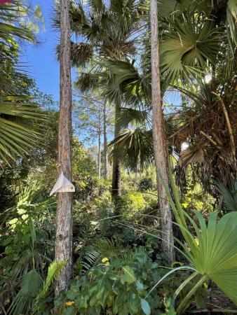 The Acreage, Xxxx 32nd Ln LANE, Loxahatchee, Florida 33470, image 1
