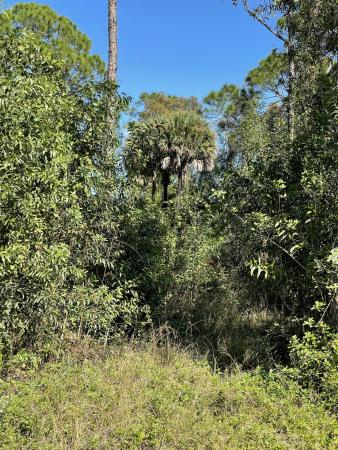 The Acreage, Xxxx 32nd Ln LANE, Loxahatchee, Florida 33470, image 2