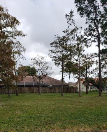 Wiltshire Village Of Greenview Shores 2, 1674 Dorchester Pl, Wellington, Florida 33414, image 2