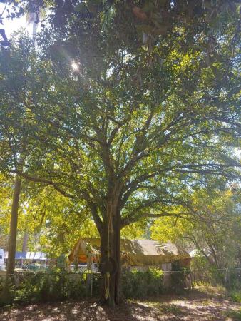Central White City, 5016 Star Ave, Fort Pierce, Florida 34982, image 1