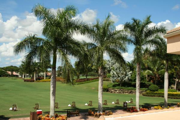Gleneagles, 15878 Loch Maree Ln #2501, Delray Beach, Florida 33446, image 1