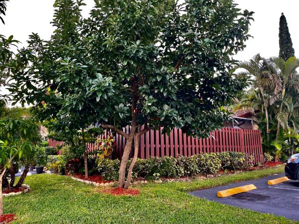 Countryside Townhomes, 4258 S Landar Dr, Lake Worth, Florida 33463, image 1