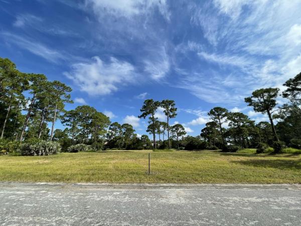 Pine Hollow, Tbd Sugar Pine Dr, Fort Pierce, Florida 34945, image 1