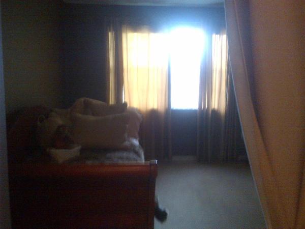 Bocar, 3153 Clint Moore Rd #205, Boca Raton, Florida 33496, image 1