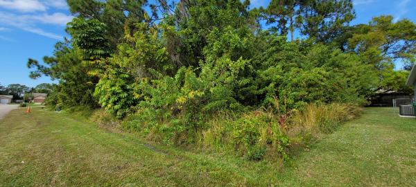 Swan Park, 571 SW Duxbury Ave, Port St. Lucie, Florida 34983, image 2
