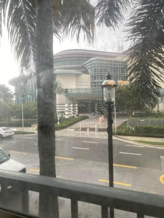 The Courtyards In CityPlace, 780 S Sapodilla Ave #203, West Palm Beach, Florida 33401, image 1
