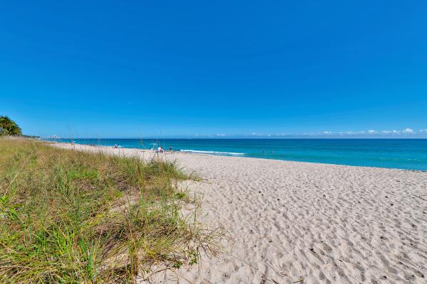The Palm Beach Hotel, 235 Sunrise Ave #2230, Palm Beach, Florida 33480, image 1