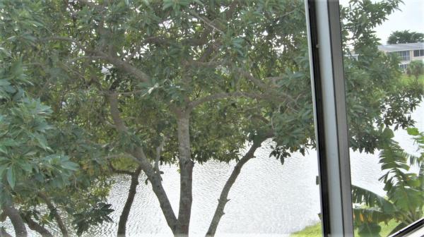 Somerset At Century Village, 165 Somerset H, West Palm Beach, Florida 33417, image 3