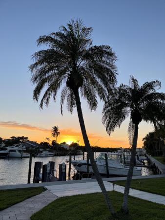 Pelican Cove, 6110 N Ocean Blvd #24, Ocean Ridge, Florida 33435, image 3