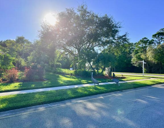Canoe Park Circle, 502 NE Canoe Park Cir, Port St. Lucie, Florida 34983, image 1