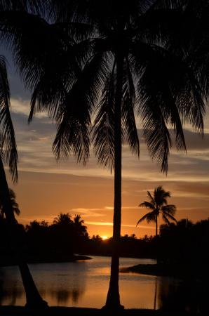 RiverWalk, 2127 Blue Springs Rd, West Palm Beach, Florida 33411, image 1