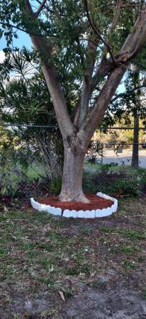 Morvin Estates, 13230 NW 17th Ave, Westview, Florida 33167, image 1