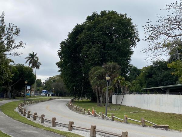 Bunker Hill, 1022 Green St, West Palm Beach, Florida 33405, image 1