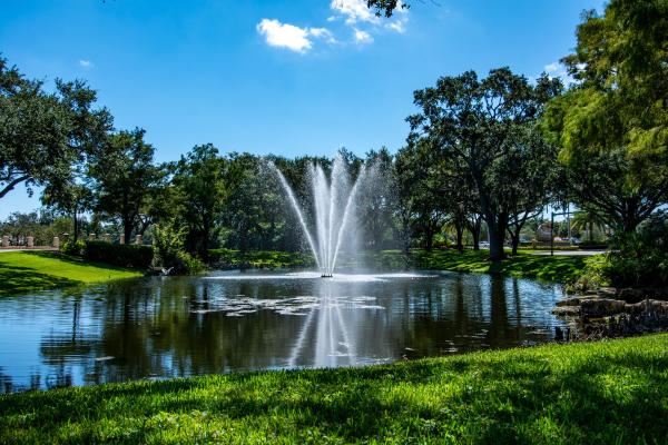 2885 SW Lakemont Pl, Florida 34990, image 1