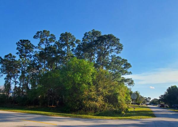 Palm Trails, 1586 SW Del Rio Blvd, Port St. Lucie, Florida 34953, image 1