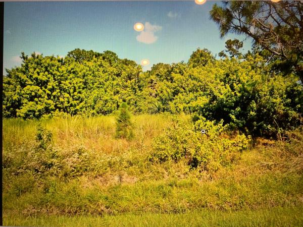 Torino, 5803 NW Culebra Ave, Port St. Lucie, Florida 34986, image 1