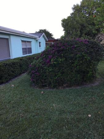 Lucerne Homes East, 6311 Summer Sky Ln, Greenacres, Florida 33463, image 1