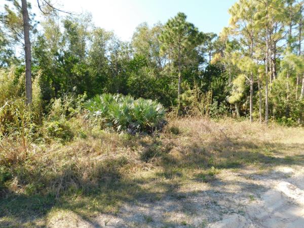 The Acreage, 18424 94th St N, Loxahatchee, Florida 33470, image 2