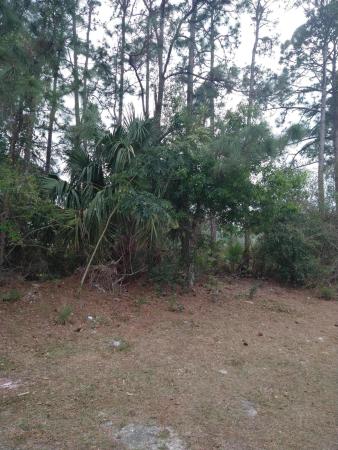 1652 SW Penrose Ave, Port St. Lucie, Florida 34953, image 1