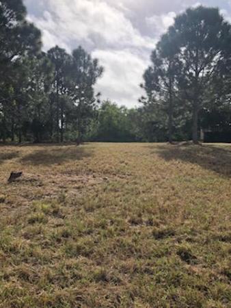Sandhill Crossing, 1461 SE Berkshire Blvd, Port St. Lucie, Florida 34952, image 2