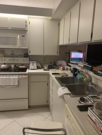 Whitehall, 3540 Whitehall Dr #302, West Palm Beach, Florida 33401, image 1