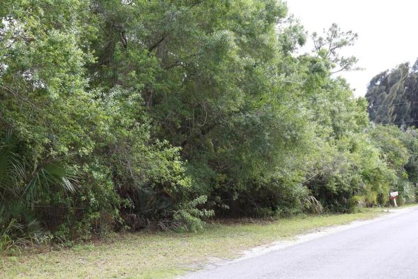 Regina Palms, Tbd Traub Ave, Fort Pierce, Florida 34982, image 1