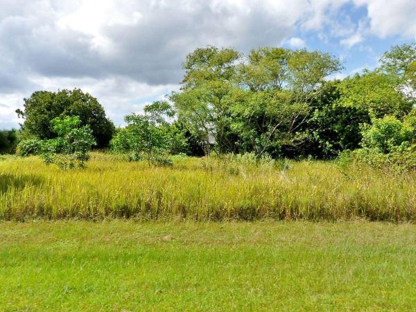 5764 NW Cleburn Dr, Port St. Lucie, Florida 34986, image 2