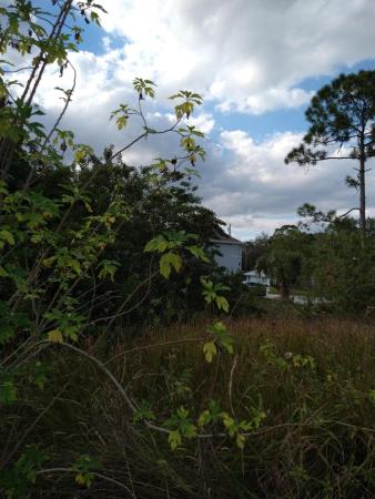 Oak Hammock, 1518 SW Lexington Dr, Port St. Lucie, Florida 34953, image 2