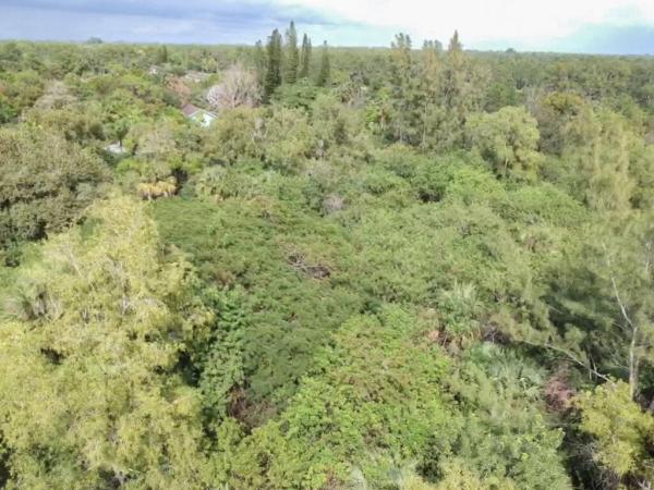 Loxahatchee Groves Residential, 3255 E Rd, Loxahatchee Groves, Florida 33470, image 1