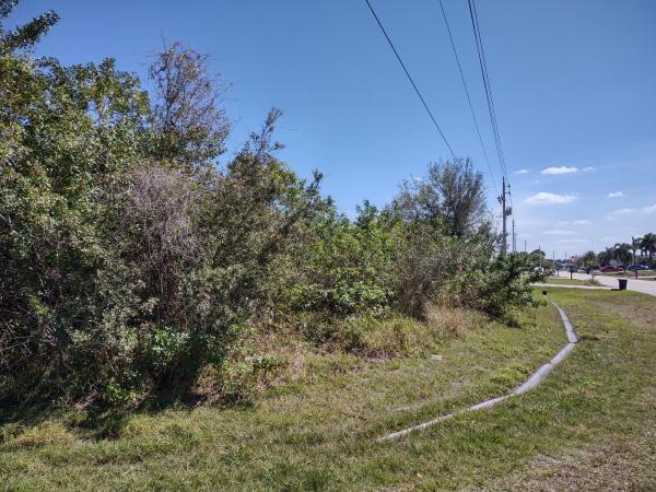 Crane Landing, 257 SW Kestor Dr, Port St. Lucie, Florida 34953, image 2
