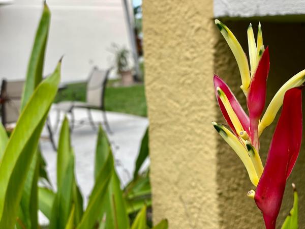 Town & Country Estates, 524 Osprey Dr #10C, Delray Beach, Florida 33444, image 2