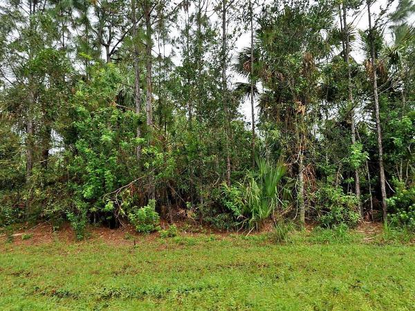 Oak Hammock, 1873 SW Glenco St, Port St. Lucie, Florida 34953, image 1